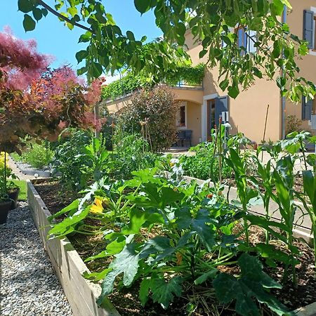 Appartement Entre Sisteron Et Gorges De La Meouge " Les Hauts De Toscane " Ribiers Exteriör bild