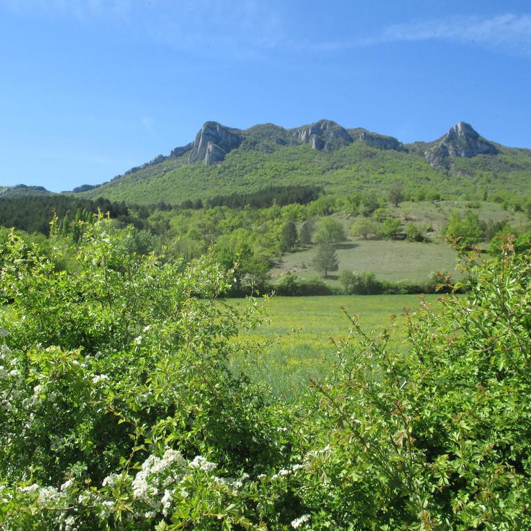 Appartement Entre Sisteron Et Gorges De La Meouge " Les Hauts De Toscane " Ribiers Exteriör bild